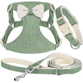 Didog Small Dog Harness Collar and Leash Set, Adjustable Lightweight Vest Harness with Cotton Soft Mesh for Small Dogs, Cats (Green, XXS)