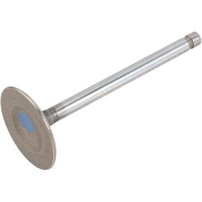 Parts Genuine 10241743 Small-Block Intake Valve