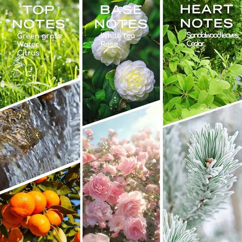 Hotel Scents Santal 10ML Essential Oil, Hotel Collection Diffuser Oil with Sandalwood, Cedarwood and Musk, Luxury Home Aromatherapy Fragrances Oil in Kuwait