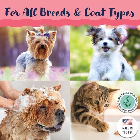 Bobbi PANTER تريفثالات الأثيلين المتعدد PET Cat شامبو 8 fl. oz, black in Kuwait