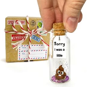 Kseniya Revta I'm Sorry Gifts for Her and Him - Personalised Apology Gift - Cute Poop in a Jar and Sorry Card - Forgive Me Bear Present Idea (Brown Poop - Sorry I was a little, In Teal Gift Box) in Saudi Arabia
