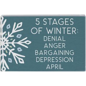 5 Stages of Winter - Rustic 5.25 x 3.5" Wood Sign - Small Talk Rectangles Collection by Simply Said STR1813