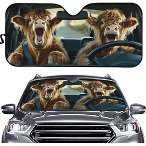 Biyejit Blue Fire Skull Print Car Windshield Visor Cover Thicken Foldable for Heat Sun Prevention, Universal Auto Decorative Accessories