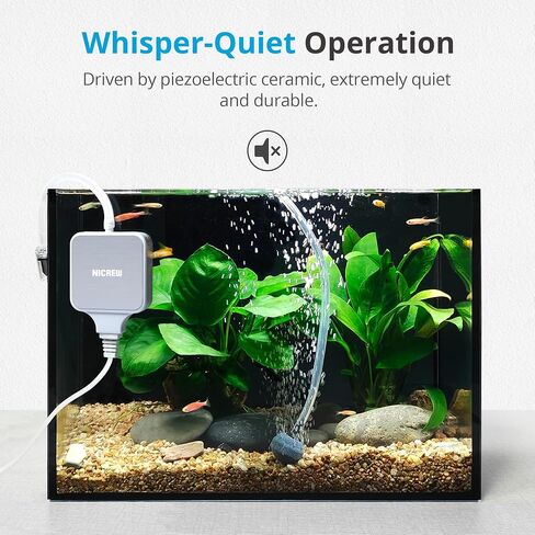 NICREW Nano Silent Aquarium Air Pump, Aquarium Aerator with Accessories for Up to 10 Gallon Fish Tank, Super Quiet, 0.3 L/min, 1.5 Watts in Kuwait