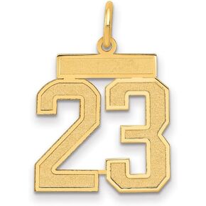 Solid 14k Yellow Gold Medium Satin Number 23 Pendant Charm