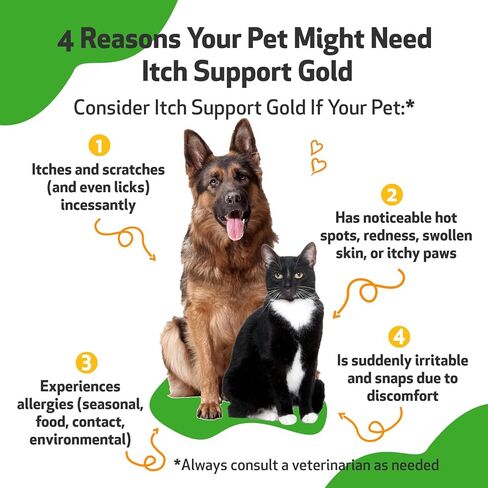 Pet Wellbeing - Itch Support Gold for Dogs - Natural Support for Itchy Skin Due to Allergies in Canines - 2 oz (59ml) in Saudi Arabia
