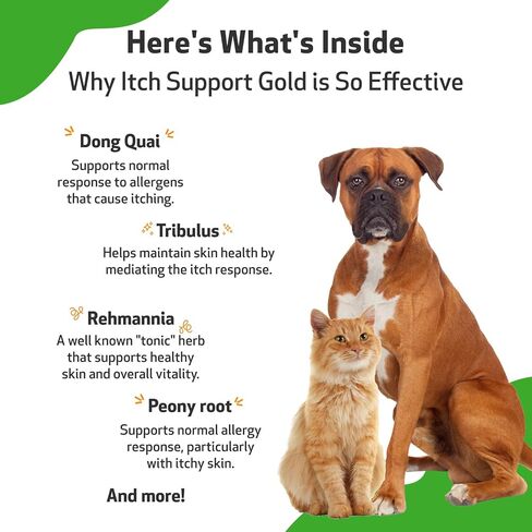 Pet Wellbeing - Itch Support Gold for Dogs - Natural Support for Itchy Skin Due to Allergies in Canines - 2 oz (59ml) in Saudi Arabia