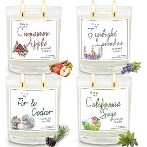Scented Candles Set,4 Pack Aromatherapy Candles for Home Scented,Candle Gift Set for Women,Gifts for Women Men,Soy Candles Amber Jar Candles for Birthday,Valentine,Monther's Day