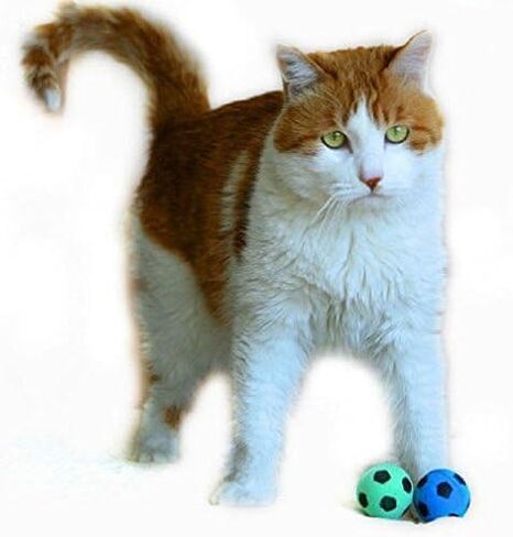 Foam Sponge Soccer Ball Cat Toy Interactive Cat Toys Independent Pet Kitten Cat Exrecise Toy balls for Real Cats Kittens, Soft, Bouncy and Noise Free (8 Pack) in Saudi Arabia