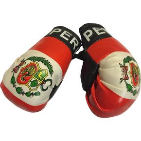 Flag Mini Small Boxing Gloves to Hang Over Car Automobile Mirror - Americas