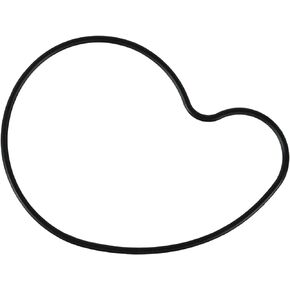 FEL-PRO 36042 Water Pump Gasket