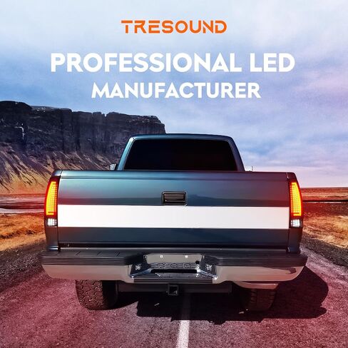 Tresound LED Tail Light for Chevy Avalanche 1500 2500 2002 2003 2004 2005 2006, Rear Taillight Assembly, GM2801153 in Kuwait