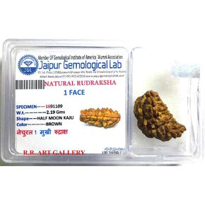 Certified 1 Mukhi (One Face) Rudraksha Bead - Birthstone for Capricorn - Astrological Sign: Leo - Crown Chakra