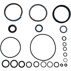 Seal Kit for Johnson Evinrude BRP Trim Tilt 25 35 40 48 50 HP System 435567 435894 435903 0435567 0339849 033566 0333496 0912298 091229 FSM013 1989-2004 D453
