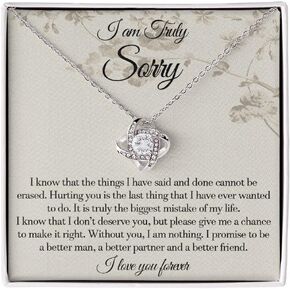 I'm Sorry Gifts For Her, Sorry Gift, Apology Card, Apology Necklace, Forgive Me Jewelry, Sorry Partner Stainless Sterling Silver Forever Love Necklace Box With LED Light