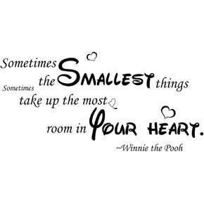 Sometimes The Smallest Things Take Up The Most Room in Your Heart Bedroom Quote Decors Wall Saying Decals Quote for Home Wall Stickers Nursery Room Decor(2)