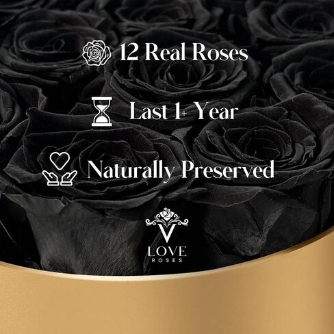 VLove® Forever Roses in a Black Box | Real Roses Forever Flowers Box | Naturally Preserved Flowers | Preserved Rose Box | Eternal Rose That Last A Year | Eternal Rose Gifts For Valentines Day (12 Red) in Saudi Arabia