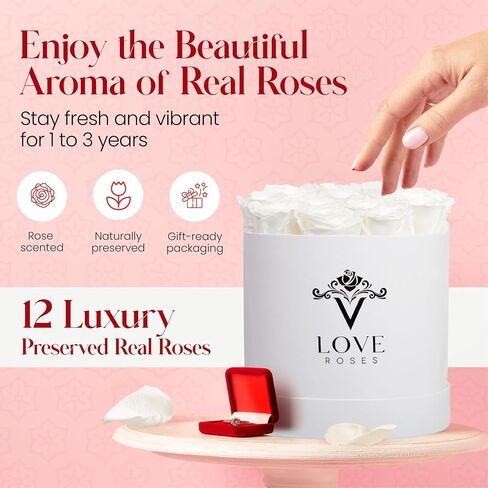 VLove® Forever Roses in a Black Box | Real Roses Forever Flowers Box | Naturally Preserved Flowers | Preserved Rose Box | Eternal Rose That Last A Year | Eternal Rose Gifts For Valentines Day (12 Red) in Saudi Arabia