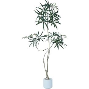 Artificial Dizygotheca elegantissima Tree, 6FT Tall Fake Plants Artificial Plants for Indoor