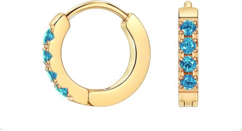 TDEBA Birthstone Hoop Earrings for Women, Silver 14k Plated Gold Mini Hoop Earrings, Cubic Zirconia Huggie Hoop Earrings, Cartilage Piercing Earrings, Birthday Jewelry in Saudi Arabia