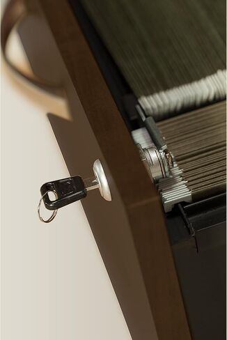 Bush Business Furniture Series C 2 Drawer Lateral File Cabinet, Locking Document Storage for Home or Professional Office, Hansen Cherry in Saudi Arabia