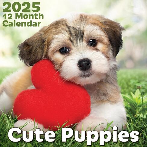 EcoEarth - Biodegradable 11x22 Inch (Open) 12-Month Vertical Hanging Wall Calendar - 2025 Monthly Calendar - Cute Puppies in Kuwait