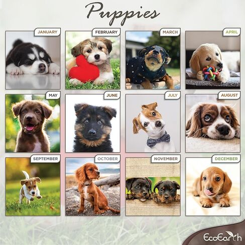 EcoEarth - Biodegradable 11x22 Inch (Open) 12-Month Vertical Hanging Wall Calendar - 2025 Monthly Calendar - Cute Puppies in Kuwait