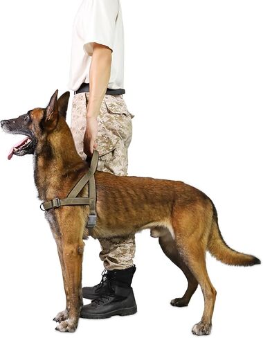 حزام مضاد للسحب للكلاب، حزام عاكس للجراء بمقبض ناعم مبطن، حزام للحيوانات الأليفة مقاوم للهروب/سريع التركيب وقابل للتعديل للكلاب الصغيرة والمتوسطة والكبيرة، سهل للتدريب على المشي (أحمر، صغير) in Kuwait