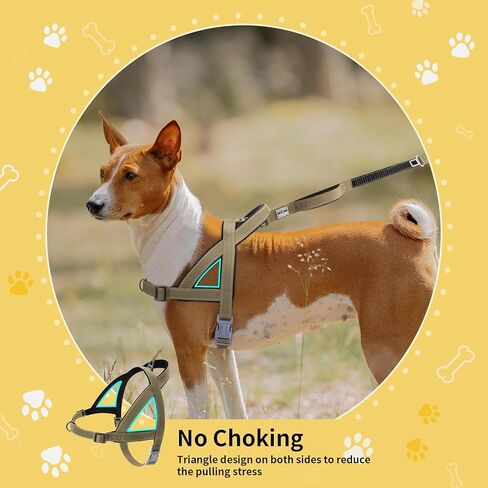 حزام مضاد للسحب للكلاب، حزام عاكس للجراء بمقبض ناعم مبطن، حزام للحيوانات الأليفة مقاوم للهروب/سريع التركيب وقابل للتعديل للكلاب الصغيرة والمتوسطة والكبيرة، سهل للتدريب على المشي (أحمر، صغير) in Kuwait