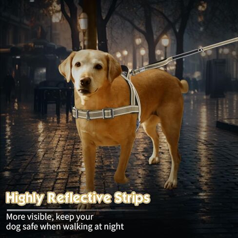حزام مضاد للسحب للكلاب، حزام عاكس للجراء بمقبض ناعم مبطن، حزام للحيوانات الأليفة مقاوم للهروب/سريع التركيب وقابل للتعديل للكلاب الصغيرة والمتوسطة والكبيرة، سهل للتدريب على المشي (أحمر، صغير) in Kuwait