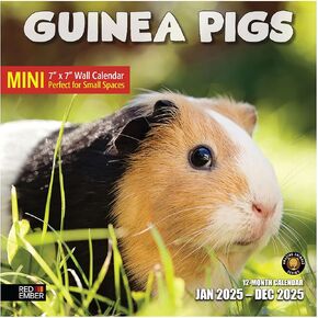 RED EMBER Guinea Pigs 2025 Hangable Monthly Wall Calendar | 12" x 24" Open | Thick & Sturdy Paper | Giftable | Kids Animals
