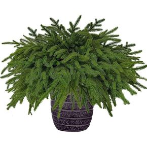 24 PCS Norfolk Pine Stems Faux, 18 Inches Real Touch Norfolk Pine Branches, Realistic Greenery Cedar Stems for Vase DIY, Artificial Plants Graland Wreath Table Decor Indoor Home Decor