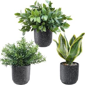 Winlyn 3 Pack Small Potted Artificial Plants Faux Greenery Rosemary Boxwood Snake Plants in Black Cement Planters Decorative Plants 8.3"-9.3" Tall for Home Office Bathroom Kitchen Shelf Table Décor