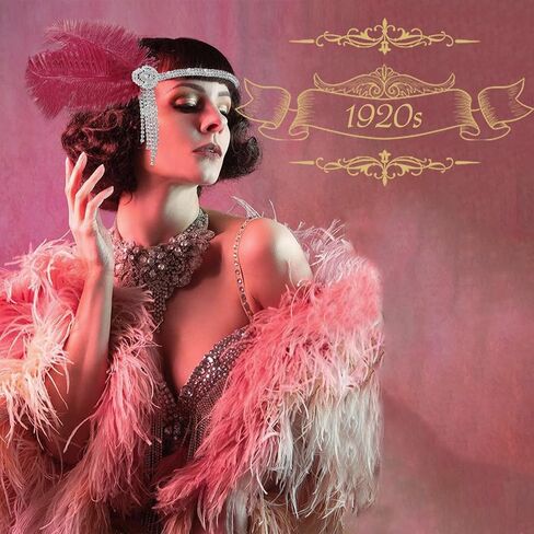 NAISKA 1920s الزعنفة ريشة عصائب 20s غاتسبي العظيم حجر الراين خوذة خمر غاتسبي حفلة إكسسوارات الشعر in Saudi Arabia