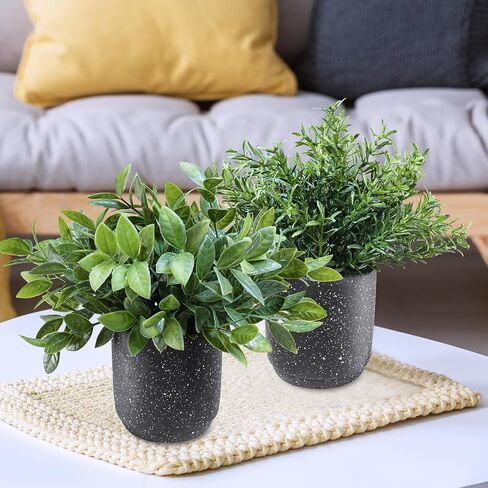 Winlyn 3 Pack Small Potted Artificial Plants Faux Greenery Rosemary Boxwood Snake Plants in Black Cement Planters Decorative Plants 8.3"-9.3" Tall for Home Office Bathroom Kitchen Shelf Table Décor in Saudi Arabia