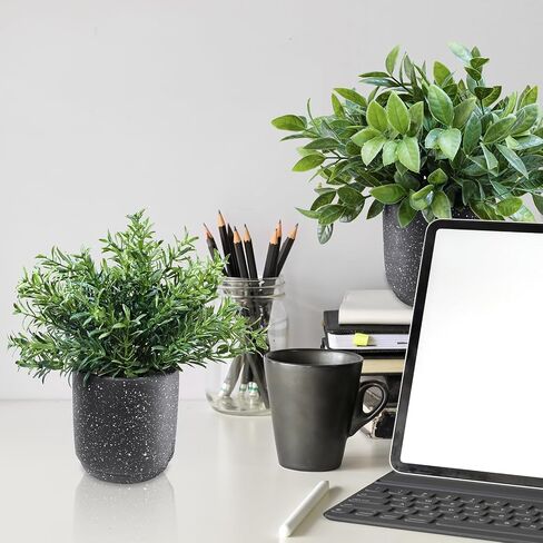 Winlyn 3 Pack Small Potted Artificial Plants Faux Greenery Rosemary Boxwood Snake Plants in Black Cement Planters Decorative Plants 8.3"-9.3" Tall for Home Office Bathroom Kitchen Shelf Table Décor in Saudi Arabia