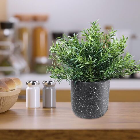Winlyn 3 Pack Small Potted Artificial Plants Faux Greenery Rosemary Boxwood Snake Plants in Black Cement Planters Decorative Plants 8.3"-9.3" Tall for Home Office Bathroom Kitchen Shelf Table Décor in Saudi Arabia