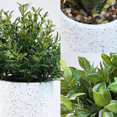Winlyn 3 Pack Small Potted Artificial Plants Faux Greenery Rosemary Boxwood Snake Plants in Black Cement Planters Decorative Plants 8.3"-9.3" Tall for Home Office Bathroom Kitchen Shelf Table Décor in Saudi Arabia