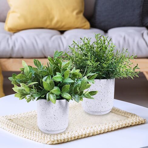 Winlyn 3 Pack Small Potted Artificial Plants Faux Greenery Rosemary Boxwood Snake Plants in Black Cement Planters Decorative Plants 8.3"-9.3" Tall for Home Office Bathroom Kitchen Shelf Table Décor in Saudi Arabia