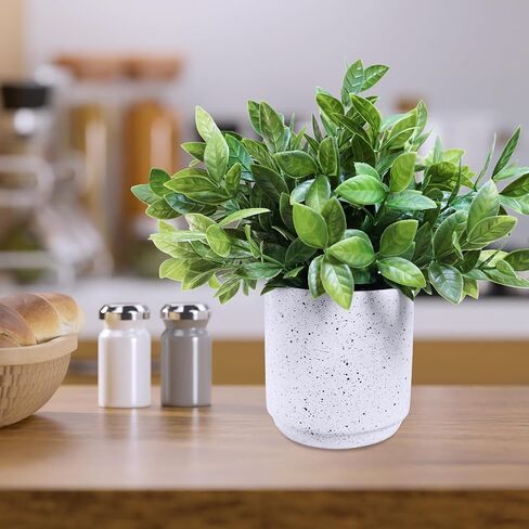 Winlyn 3 Pack Small Potted Artificial Plants Faux Greenery Rosemary Boxwood Snake Plants in Black Cement Planters Decorative Plants 8.3"-9.3" Tall for Home Office Bathroom Kitchen Shelf Table Décor in Saudi Arabia