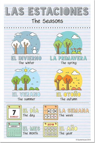Spanish Verbs & Beginner Vocabulary (Set C) Poster Set, Spanish Classroom Learning Materials for K-12 Students and Teachers, Set of 11, 12 x 18 Inches, Extra Durable in Kuwait