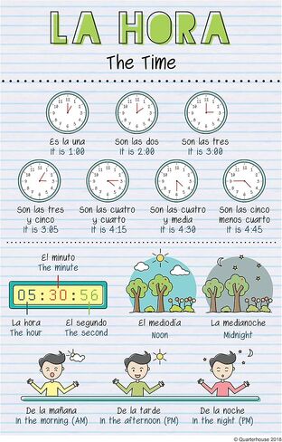 Spanish Verbs & Beginner Vocabulary (Set C) Poster Set, Spanish Classroom Learning Materials for K-12 Students and Teachers, Set of 11, 12 x 18 Inches, Extra Durable in Kuwait