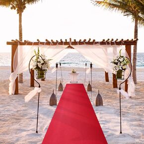 24In x 16.4Ft Premium Thick Red Carpet Runner for Events, wiht Anti-Slip Bottom for Wedding Christmas Xmas Thanksgiving Outdoor Accessories Wedding Party Hallway Rug
