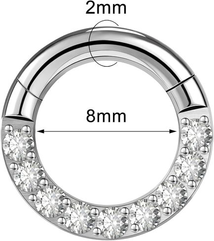 2G 4G 6G 8G 10G 12G Septum Rings Heavy Gauges Hinged Nose Rings Hoop With Cubic ZirconiaBody Piercing Rings for Septum Nose Lip Jewelry Cartilage Tragus Earrings Conch Piercing Jewelry Silver in Kuwait