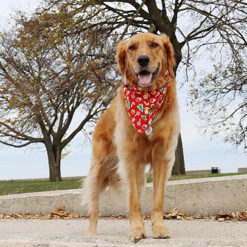CROWNED BEAUTY Christmas Dog Bandanas Reversible Large 2 Pack, Gingerbread Delight Set, Polka Dots Adjustable Triangle Holiday Scarves for Medium Large Extra Large Dogs Boy Girl Pets DB138-L in Saudi Arabia