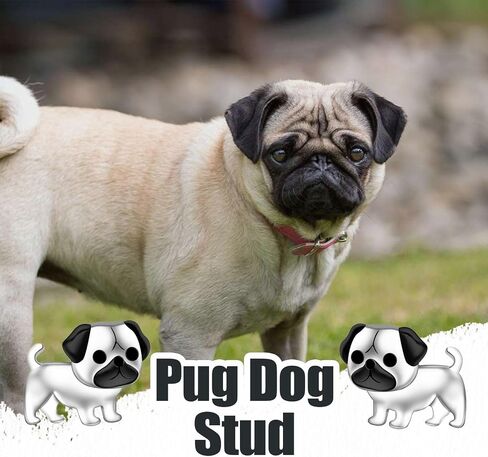 Cute Puppy Dog Stud Earrings for Womens 925 Sterling Silver Pug dog/Dachshund/Chihuahua Dog Earring Jewelry Gifts for Women Hypoallergenic in Kuwait