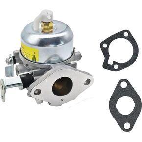 Autu Parts 146-0455 Carburetor for Onan Cummins Carb Generator with Gaskets BGD BGE BGM Replace 146-0466 141-0918 141-0926