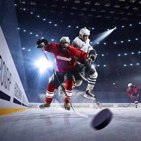 Lanxitown قطعتان من كرات الهوكي السوداء كرات هوكي الجليد لممارسة التدريب الكلاسيكي ومعدات تدريب الهوكي، هدايا الهوكي بقطر 3 بوصات وسمك 1 بوصة in Kuwait