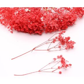 100 Pcs Orange Mini Dried Baby's Breath Flowers, 6000+Gypsophila Dry Flowers Bulk for Vase Resin Nails, Art Crafts DIY Pressed Flower Making, Valentines Day Decor, Party Table Wedding Gifts