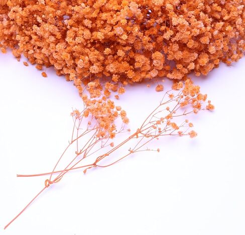 100 Pcs Orange Mini Dried Baby's Breath Flowers, 6000+Gypsophila Dry Flowers Bulk for Vase Resin Nails, Art Crafts DIY Pressed Flower Making, Valentines Day Decor, Party Table Wedding Gifts in Saudi Arabia